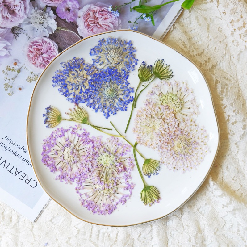 12 SZT. Prasowane szmaragdowe  – Dried Flower Bookmark recenzja i cena