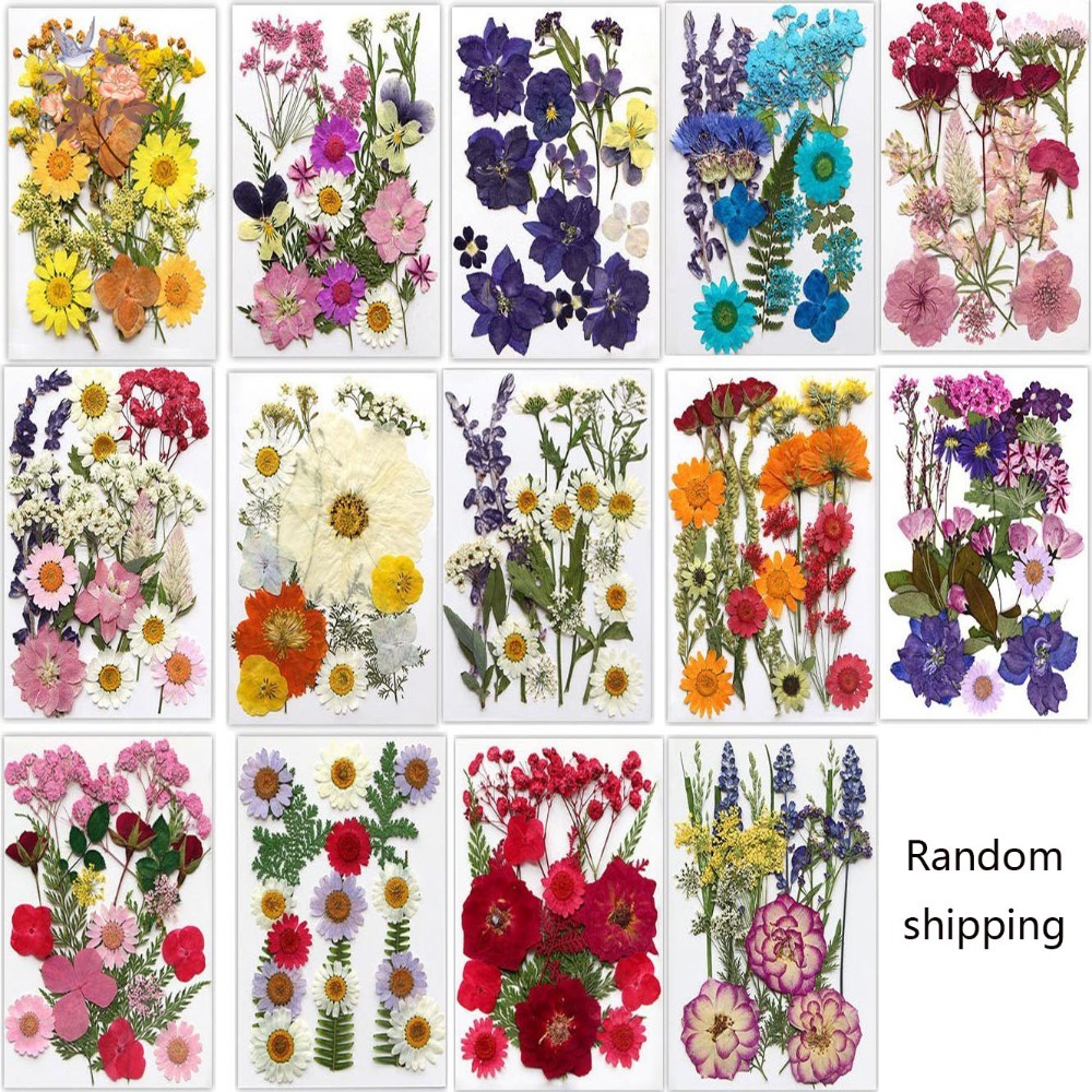 Ręcznie Robione Suszone Kwiaty – Dried Flower Bookmark recenzja i cena