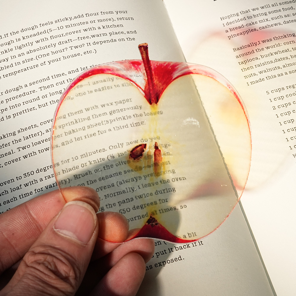 Nowa delikatna zakładka do ksi – Dried Flower Bookmark recenzja i cena