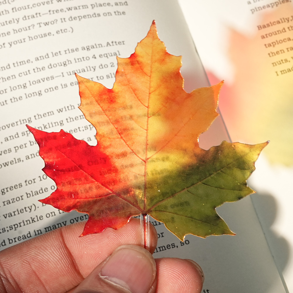 Nowa delikatna zakładka do ksi – Dried Flower Bookmark recenzja i cena