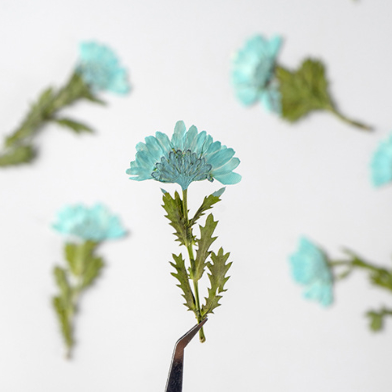 5-8cm/24szt., Kryształowe chry – Dried Flower Bookmark recenzja i cena